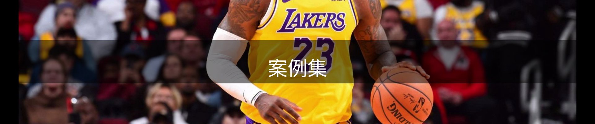 案例集