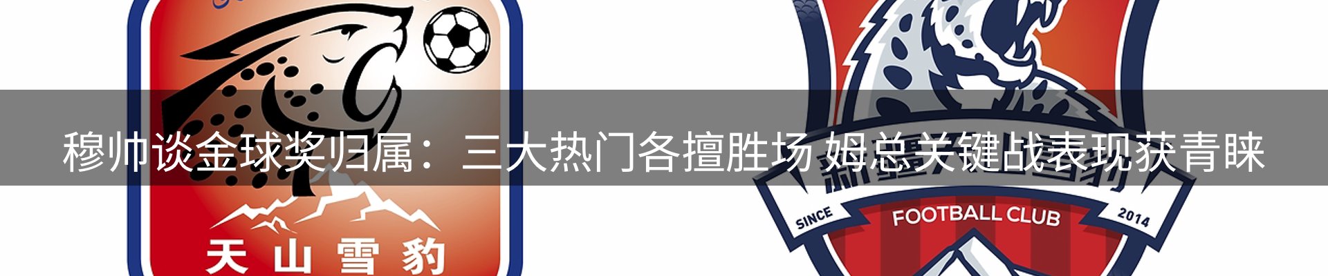 今日速览